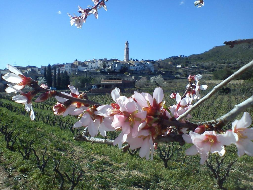 Cal Ganso Encantat Albinyana Exterior foto